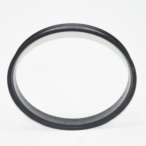 JANT ÇEMBERİ (RSI-II)