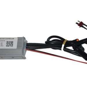 BEYİN (36V KISA 61cm) (RD5)