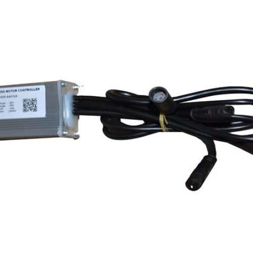 BEYİN YENİ MODEL (RV10)