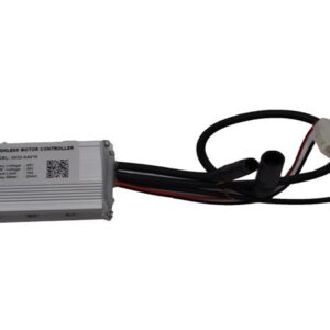 BEYİN (XR25)