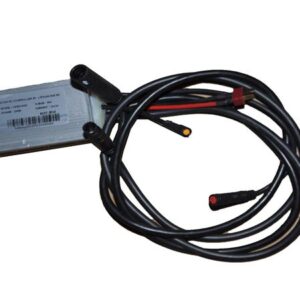 BEYİN (ZF10)