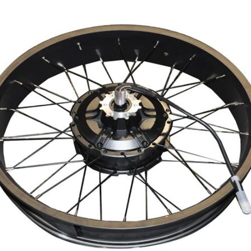 ARKA JANT ve MOTOR FİŞLİ (48V 250A) (BONOBO)