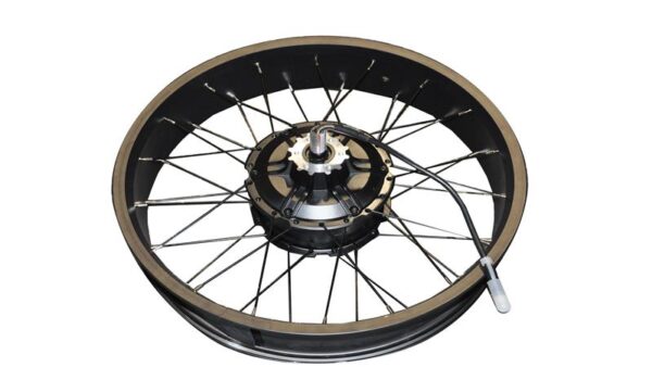 ARKA JANT ve MOTOR FİŞLİ (48V 250A) (BONOBO)