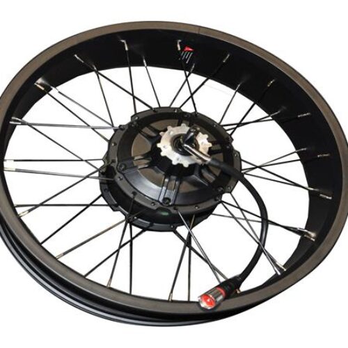 ARKA JANT ve MOTOR (48V 750A) (BONOBO PREMIUM)