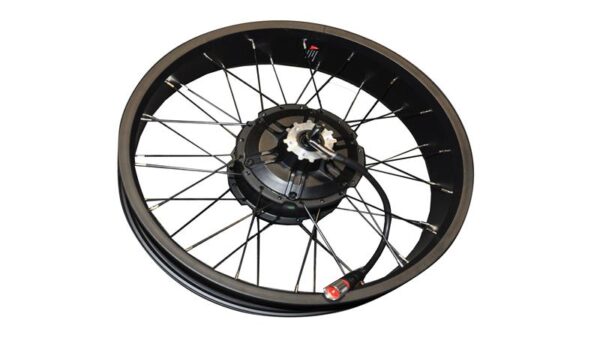 ARKA JANT ve MOTOR (48V 750A) (BONOBO PREMIUM)
